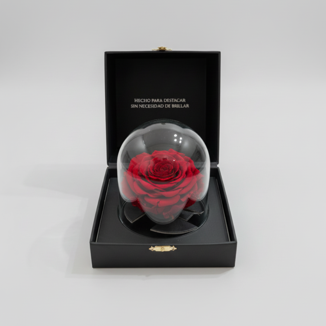 Rosa Preservada All Black